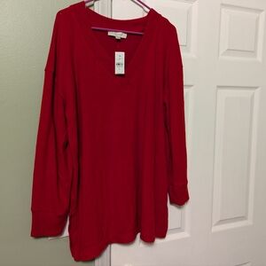 LOFT Soft V-Neck Sweater ❤️